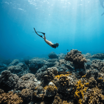 Raja Ampat - neznámý korálový ráj s českým průvodcem